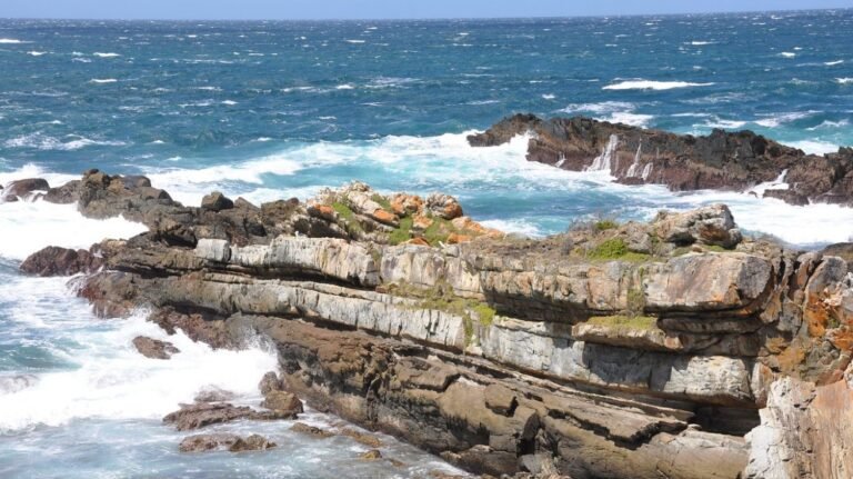 Tsitsikamma National Park - garden route south africa